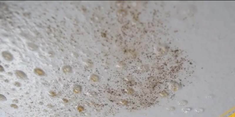 How To Remove Mold From Bathroom Ceiling With Vinegar